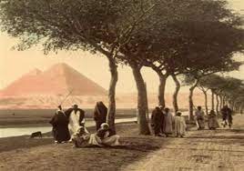 تصویر خیابان الهرم در سال 1877، ترجمه محمد احسان رحمانی